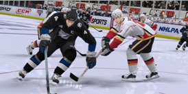 NHL 2K10 and Nintendo Wii
