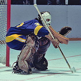 Rogie Vachon, Red Wings (1978-79) 