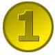 World Medal 1